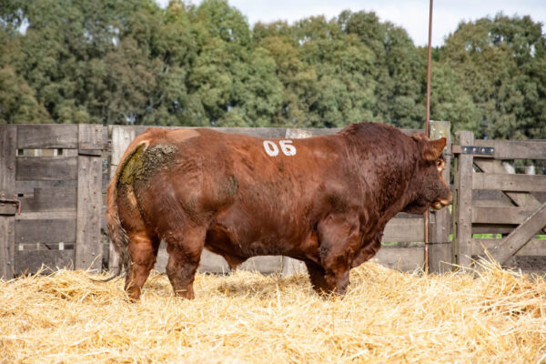 LOTE 26 – RP. 2306