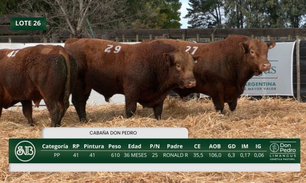 LOTE 26 - RP. 29/27/41