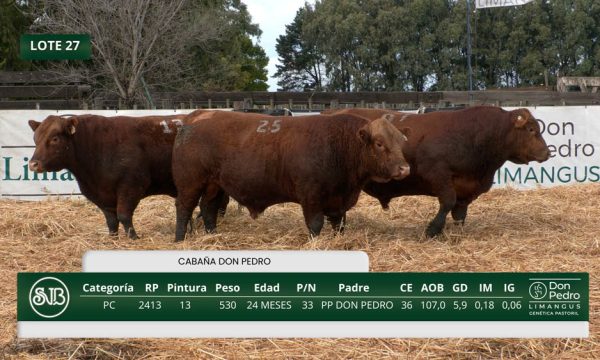 LOTE 27 - RP. 2407/2413/24125