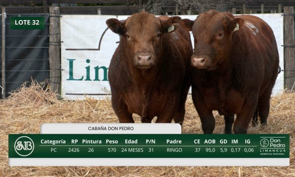 LOTE 32 - RP. 2419/2426/2434