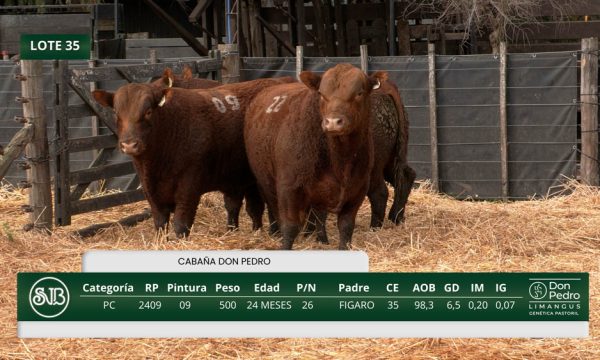 LOTE 35 - RP. 2409/2416/2422