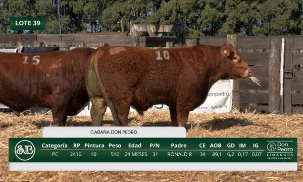 LOTE 39 - RP. 2410/2415